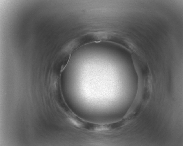 X0000081610125200701221212