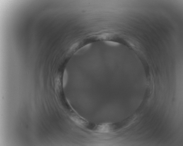 X0000081610127200701221212