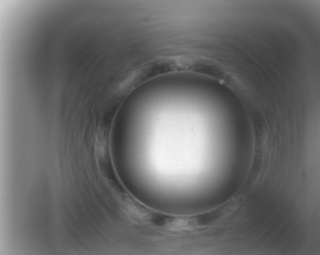 X0000081610129200701221212