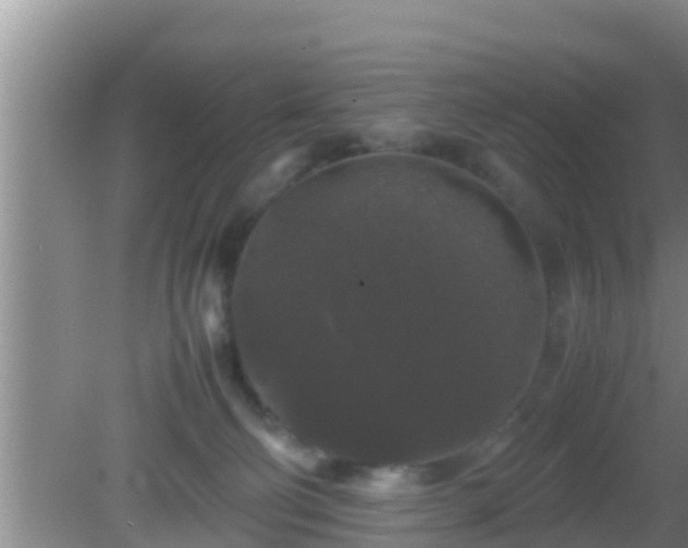 X0000081610130200701221212