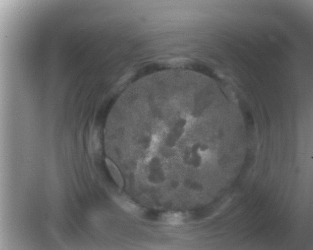 X0000081610131200701221212