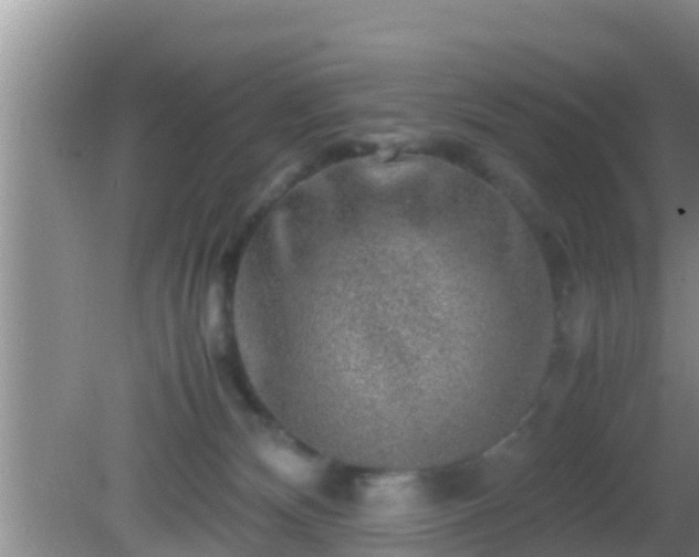 X0000081610132200701221212