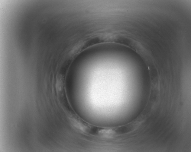 X0000081610133200701221212