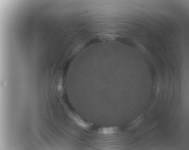 X0000081610134200701221212