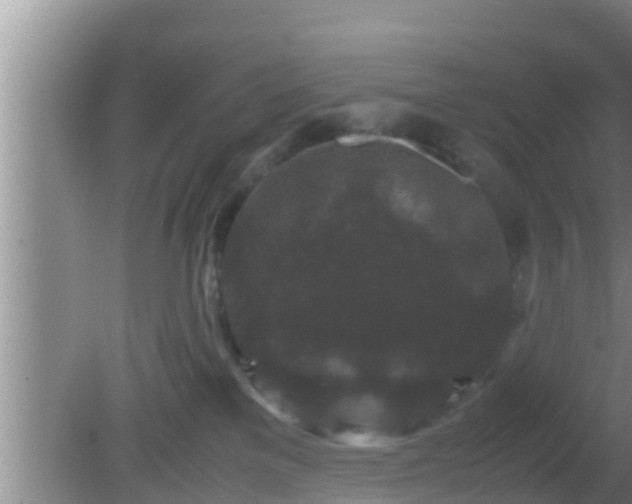 X0000081610137200701221212