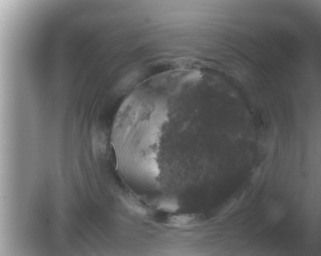 X0000081610139200701221212