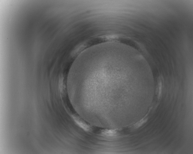 X0000081610140200701221212