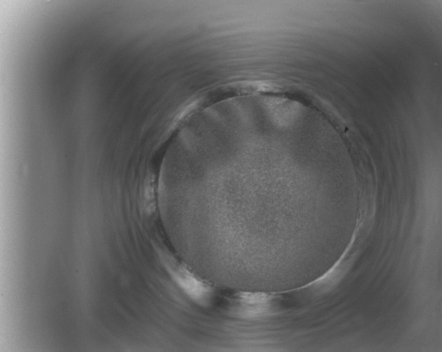 X0000081610144200701221212