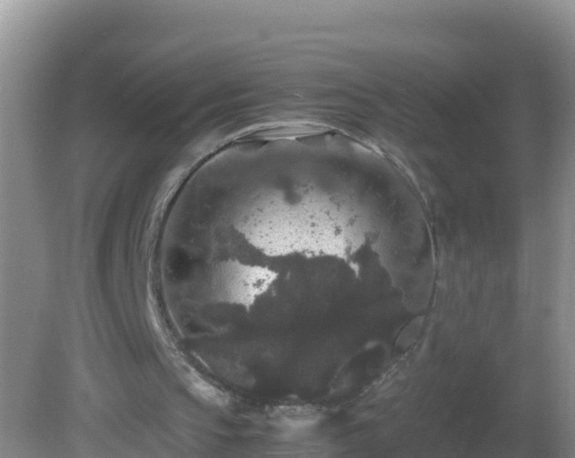 X0000081610145200701221211