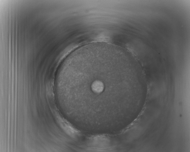 X0000081610146200701221211