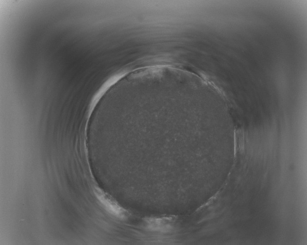 X0000081610147200701221211