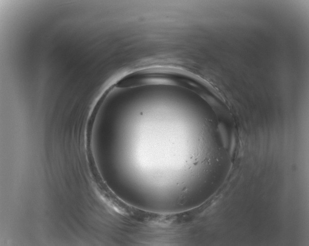 X0000081610148200701221211