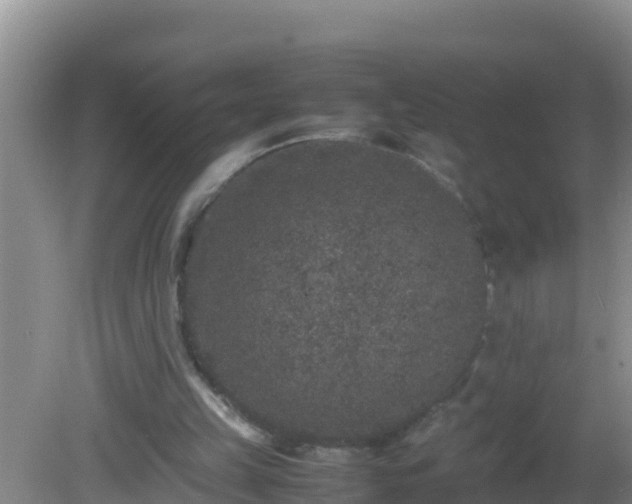 X0000081610149200701221211