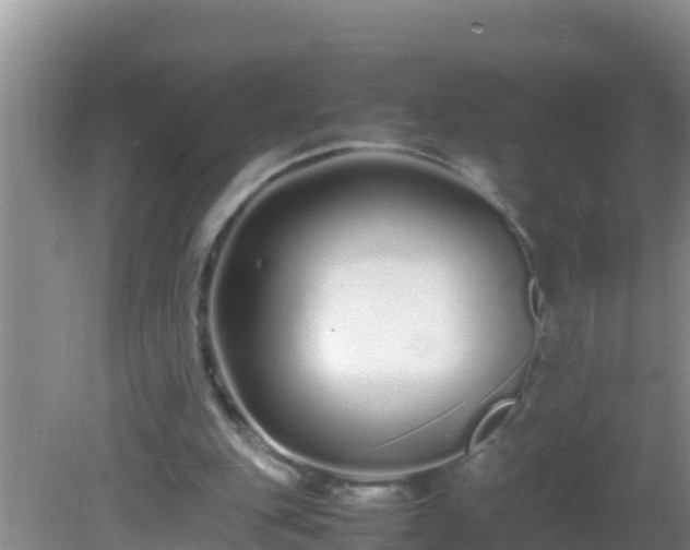 X0000081610151200701221211