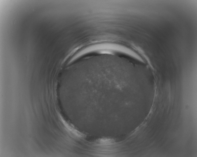 X0000081610154200701221211