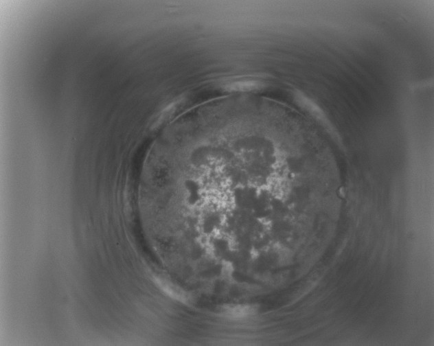 X0000081610161200701221211