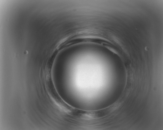 X0000081610164200701221211