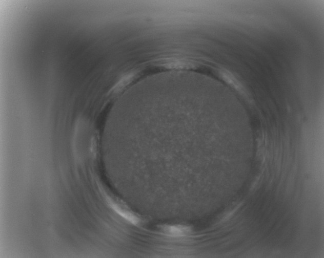 X0000081610165200701221211