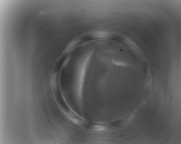 X0000081610167200701221211