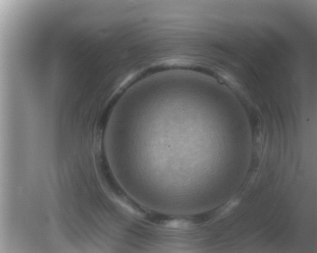 X0000081610168200701221211