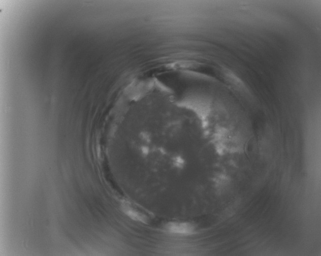 X0000081610169200701221211