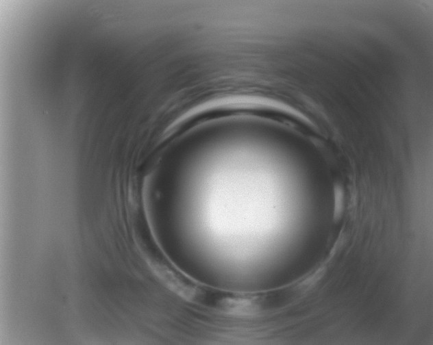 X0000081610170200701221211