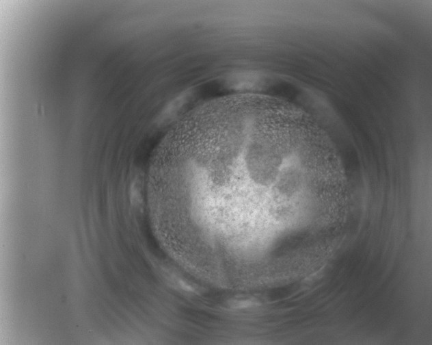 X0000081610175200701221211