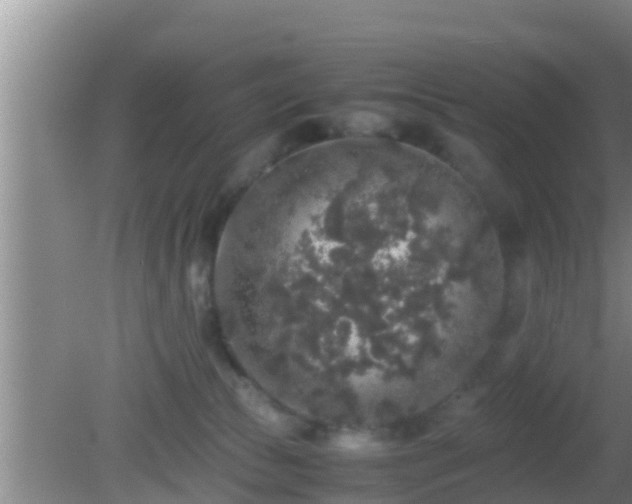 X0000081610177200701221211