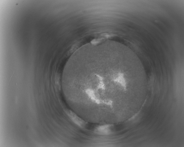 X0000081610178200701221211