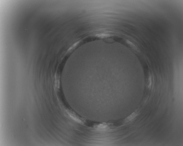 X0000081610180200701221211