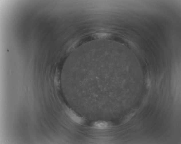 X0000081610181200701221211