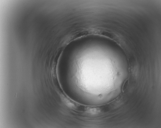 X0000081610185200701221212