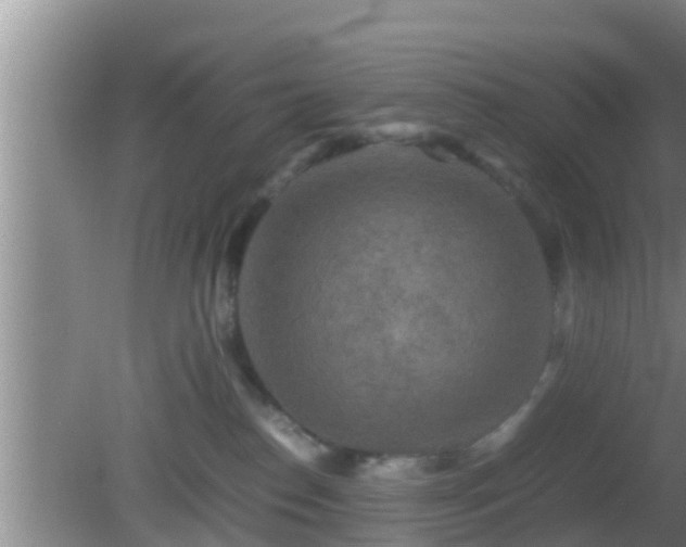 X0000081610186200701221212