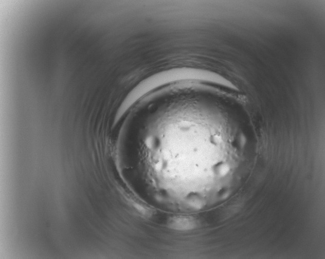 X0000081610189200701221212