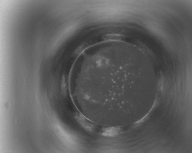 X0000081610191200701221212