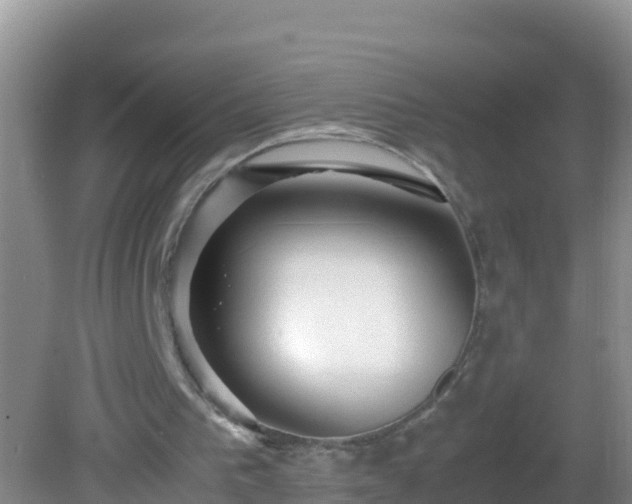 X0000081610193200701221211