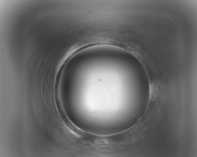 X0000081610195200701221211