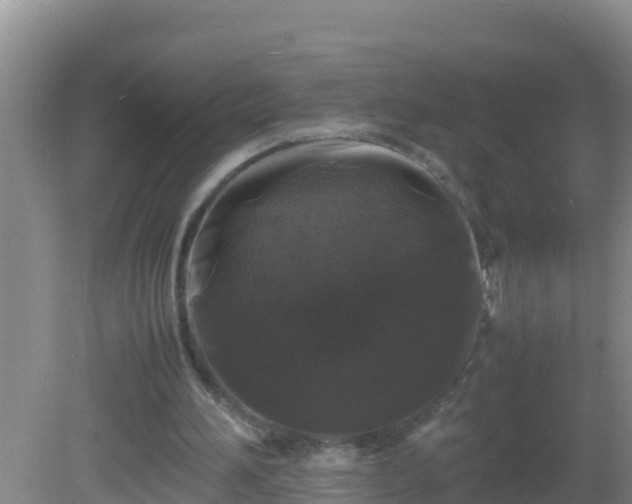 X0000081610196200701221211