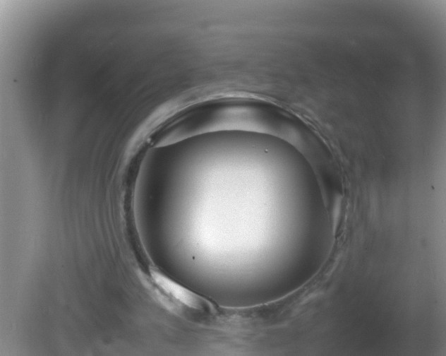 X0000081610197200701221211