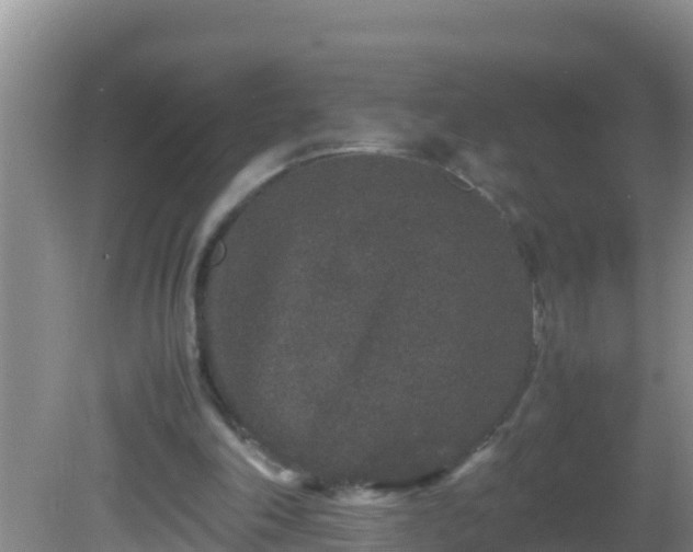 X0000081610198200701221211