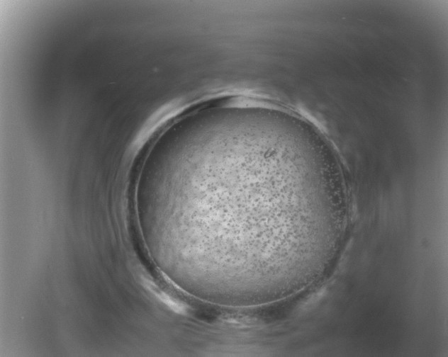 X0000081610199200701221211