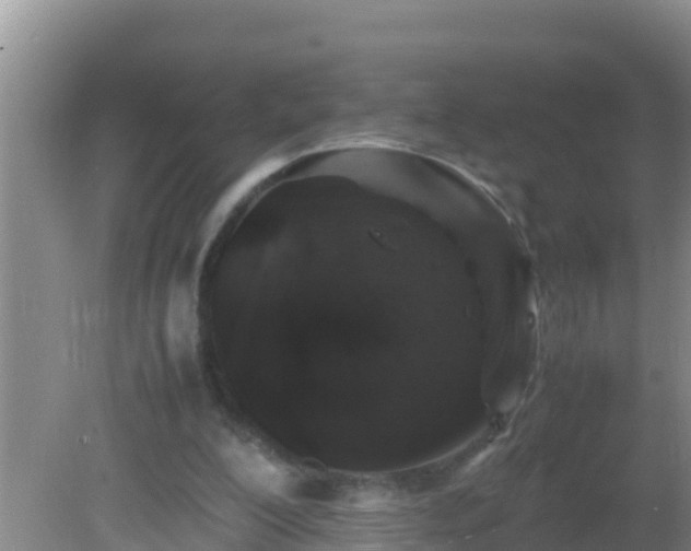 X0000081610200200701221211