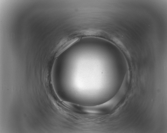 X0000081610201200701221211