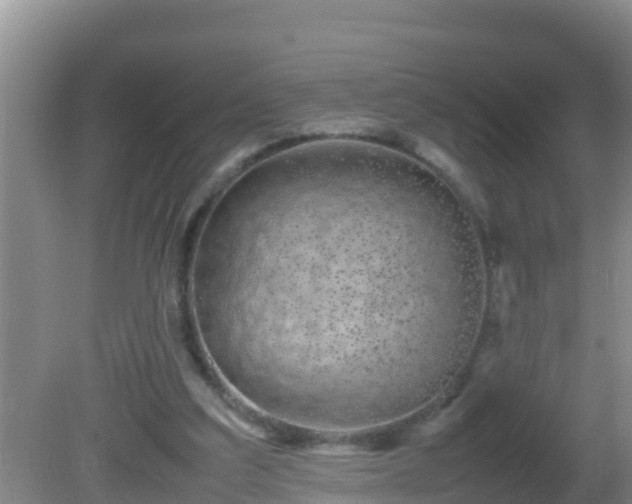 X0000081610203200701221211