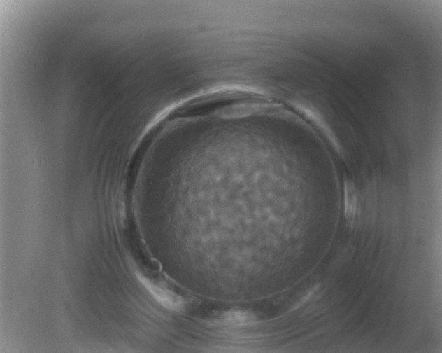 X0000081610204200701221211