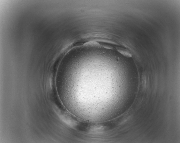 X0000081610206200701221211