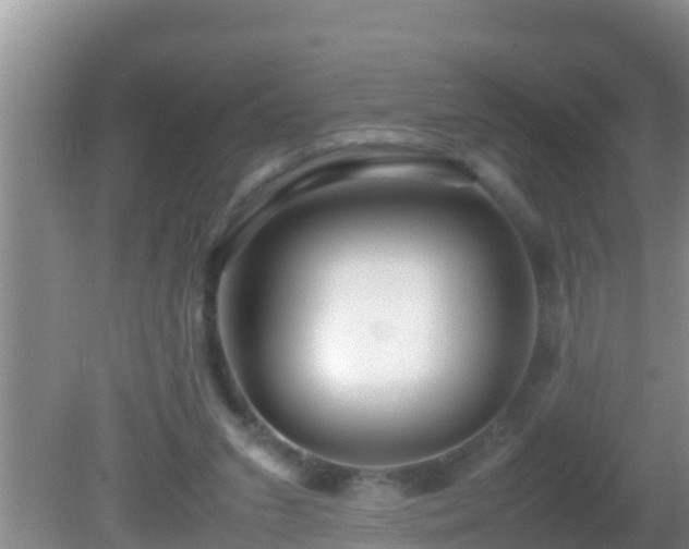 X0000081610207200701221211