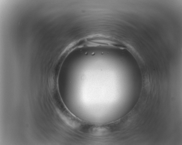 X0000081610208200701221211