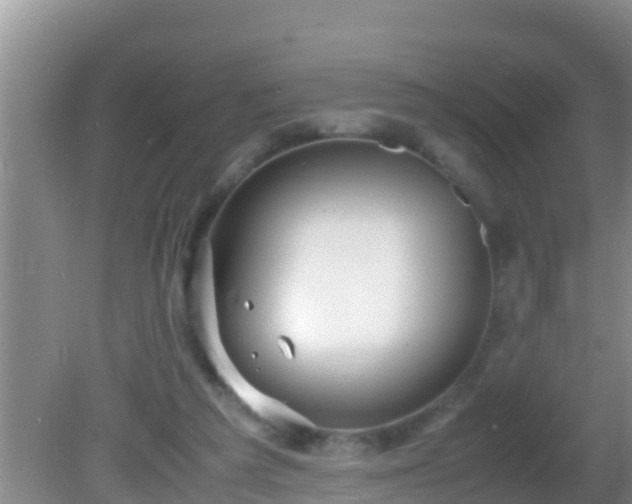 X0000081610209200701221211