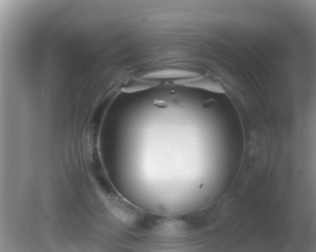 X0000081610210200701221211